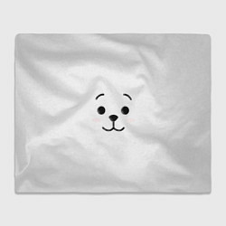 Плед флисовый BT21 RJ, цвет: 3D-велсофт