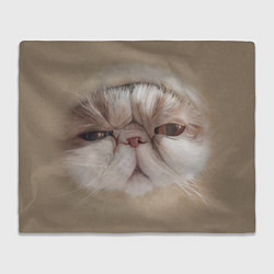 Плед флисовый Кот буханка, цвет: 3D-велсофт
