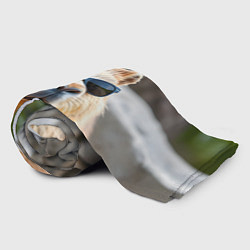 Плед флисовый Модная капибара в темных очках, цвет: 3D-велсофт — фото 2