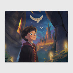 Плед флисовый Удивленный Гарри Поттер и сова, цвет: 3D-велсофт