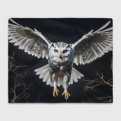 Плед флисовый Белая сова на темном фоне, цвет: 3D-велсофт