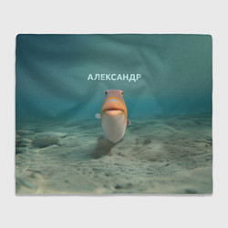 Плед флисовый Рыба - Александр, цвет: 3D-велсофт