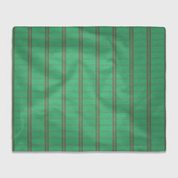 Плед флисовый Color green cage brown stripes, цвет: 3D-велсофт