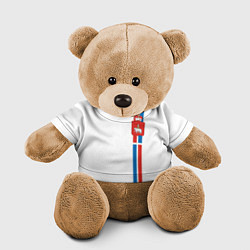 Игрушка-медвежонок Пермский край цвета 3D-коричневый — фото 1