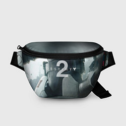 Поясная сумка Destiny 2, цвет: 3D-принт