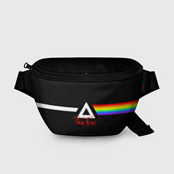 Поясная сумка Pink Floyd, цвет: 3D-принт