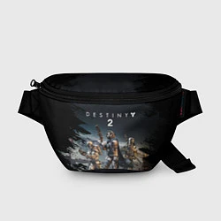 Поясная сумка Destiny 2 : Beyond Light, цвет: 3D-принт