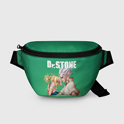 Поясная сумка Dr Stone