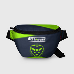 Поясная сумка DELTARUNE - Графика