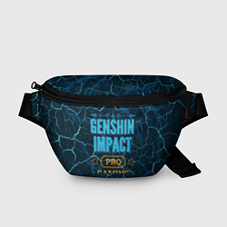 Поясная сумка Игра Genshin Impact: pro gaming, цвет: 3D-принт