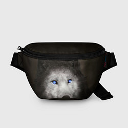 Поясная сумка Волчица с голубыми глазами, цвет: 3D-принт