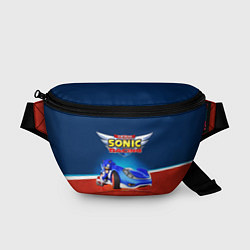Поясная сумка Team Sonic Racing - Ёжик и его точило, цвет: 3D-принт