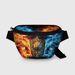 Поясная сумка Dark Souls: Lion Shield, цвет: 3D-принт