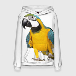 Толстовка-худи женская Попугай ара, цвет: 3D-белый
