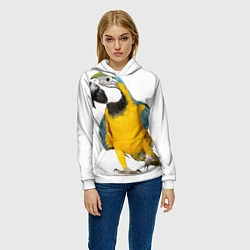 Толстовка-худи женская Попугай ара, цвет: 3D-белый — фото 2