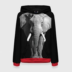 Толстовка-худи женская Старый слон, цвет: 3D-красный