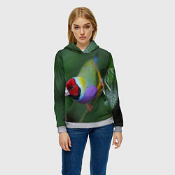 Толстовка-худи женская Яркая птичка попугай, цвет: 3D-меланж — фото 2