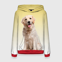 Толстовка-худи женская Лабрадор ретривер пес, цвет: 3D-красный