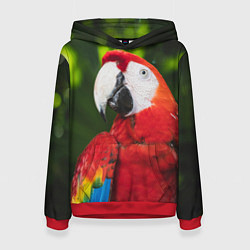 Толстовка-худи женская Красный попугай Ара, цвет: 3D-красный