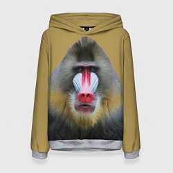 Толстовка-худи женская Мандрил обезьяна, цвет: 3D-меланж