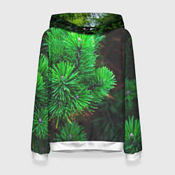 Толстовка-худи женская Зелёный лес России, цвет: 3D-белый