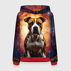 Толстовка-худи женская Американский стаффордширский терьер в космосе, цвет: 3D-красный