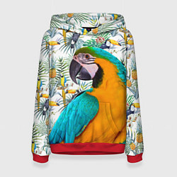 Толстовка-худи женская Летний попугай, цвет: 3D-красный