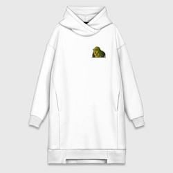 Женская толстовка-платье Шрек удивляется - мем