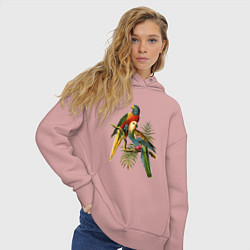 Толстовка оверсайз женская Тропические попугаи, цвет: пыльно-розовый — фото 2