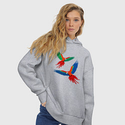Толстовка оверсайз женская Попугаи ара, цвет: меланж — фото 2