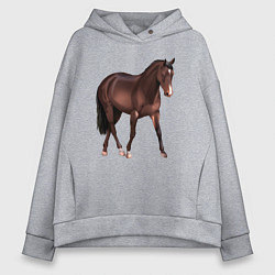 Толстовка оверсайз женская Австралийская пастушья лошадь, цвет: меланж