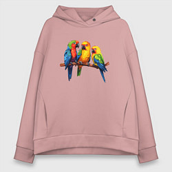 Толстовка оверсайз женская Разговор попугаев, цвет: пыльно-розовый
