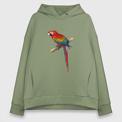 Толстовка оверсайз женская Попугай ara macaw, цвет: авокадо