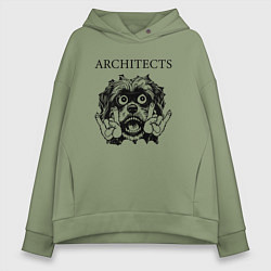 Толстовка оверсайз женская Architects - rock dog, цвет: авокадо