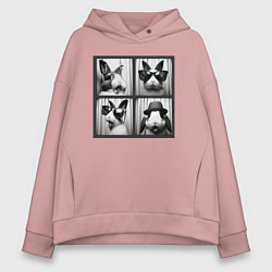 Толстовка оверсайз женская Кролик в фотобудке, цвет: пыльно-розовый