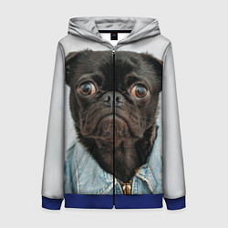 Женская толстовка на молнии Мопс в джинсовке - голова групно