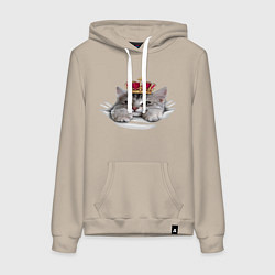 Толстовка-худи хлопковая женская Pretty kitten, цвет: миндальный