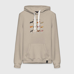 Толстовка-худи хлопковая женская HORSE BREEDING, цвет: миндальный