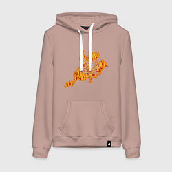 Толстовка-худи хлопковая женская Новокузнецк, цвет: пыльно-розовый