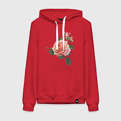 Толстовка-худи хлопковая женская Розовые розы, цвет: красный