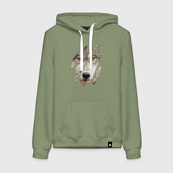 Толстовка-худи хлопковая женская Волк - моё второе Я, цвет: авокадо