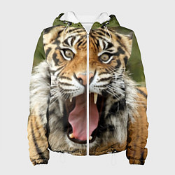 Куртка с капюшоном женская Удивленный тигр, цвет: 3D-белый