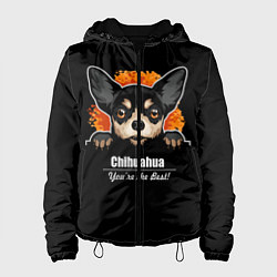 Куртка с капюшоном женская Чихуахуа Chihuahua, цвет: 3D-черный