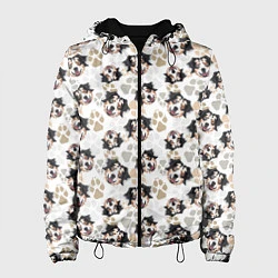 Куртка с капюшоном женская Собака Австралийская Овчарка, цвет: 3D-черный