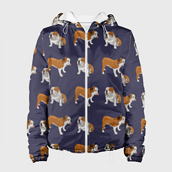 Женская куртка Английские бульдоги паттерн