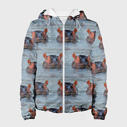 Куртка с капюшоном женская Бегемоты в воде, цвет: 3D-белый