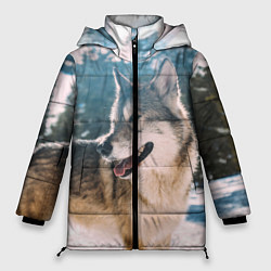 Женская зимняя куртка Волк и снег