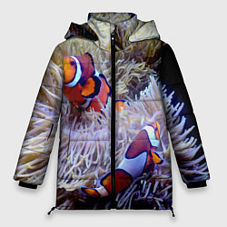 Куртка зимняя женская Клоуны в актинии, цвет: 3D-черный