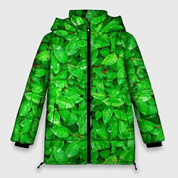 Куртка зимняя женская Зелёные листья - текстура, цвет: 3D-черный