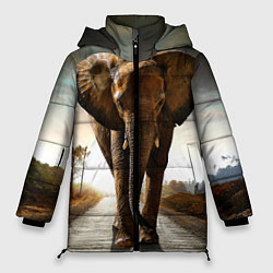 Куртка зимняя женская Дикий слон, цвет: 3D-черный